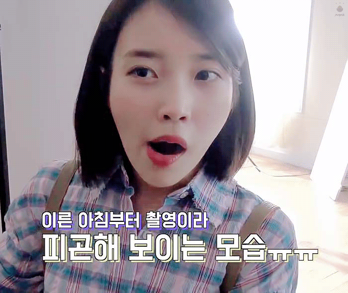 아이유 너무 귀여워 ㅠㅜㅠㅠㅠㅠㅜㅜㅜㅠ | 인스티즈