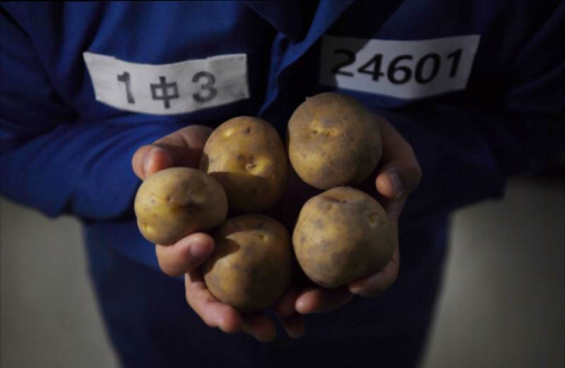 [단독] 감자 5개 훔친 죗값 50만원… 지명수배된 80세 폐지 노인 | 인스티즈