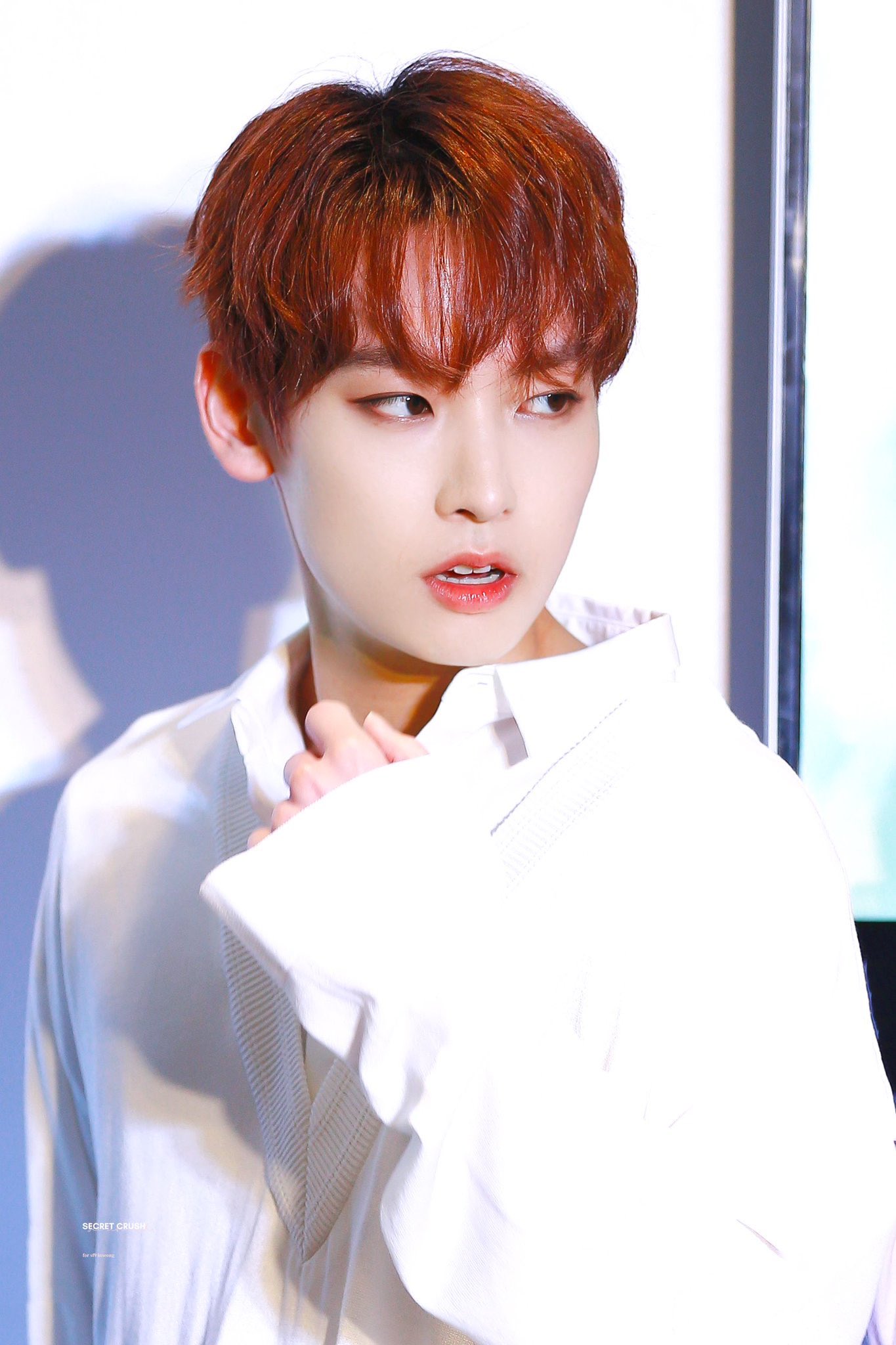 우리 고양이는 냉이야 온이야? | 인스티즈