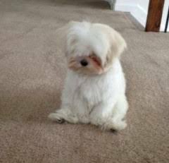 전정국 씻어 | 인스티즈