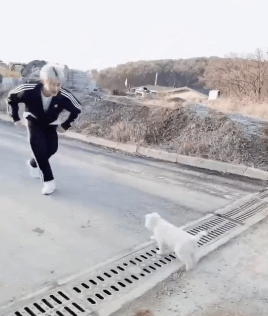 강아지랑 놀아주는 모습 | 인스티즈