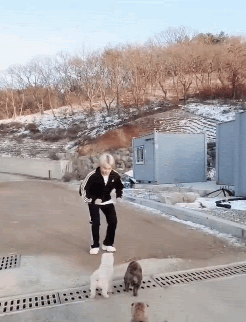 강아지랑 놀아주는 모습 | 인스티즈