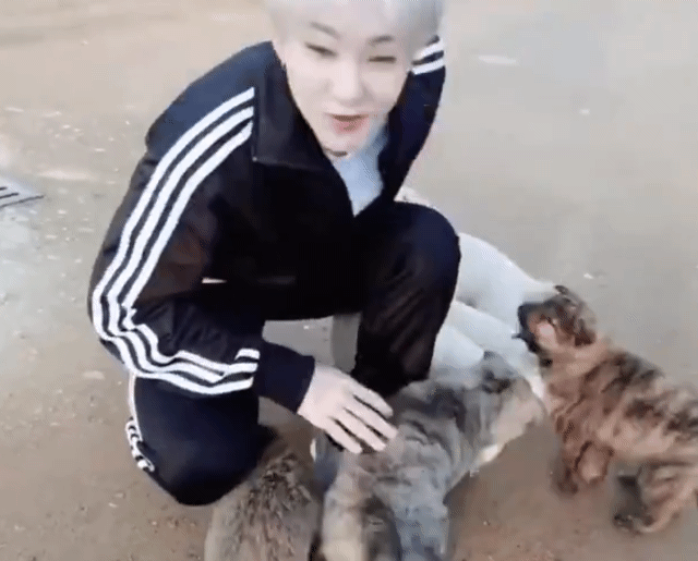 강아지랑 놀아주는 모습 | 인스티즈