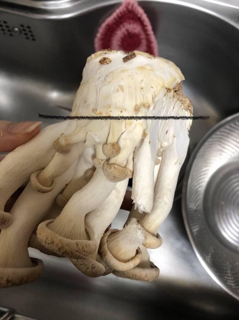 🔥급해 익들아 이거 버섯🔥 | 인스티즈