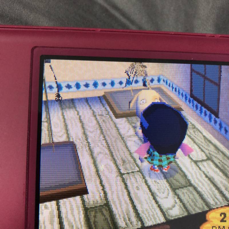 동물의숲 하는중인데 | 인스티즈