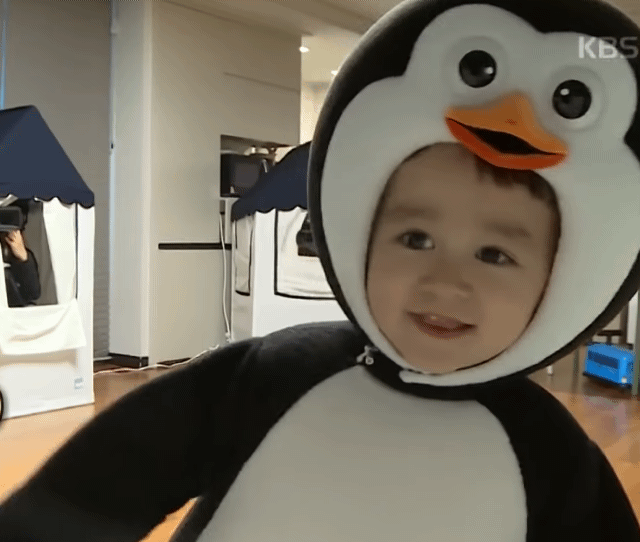 벤틀리 너무 귀엽다 진짜...❤ | 인스티즈