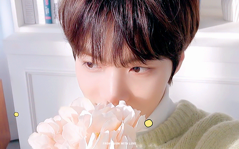 뭐야 남돌최애 여돌최애 나도 자랑할래🌝 | 인스티즈