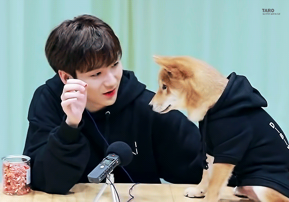 곽아론귀여워 | 인스티즈