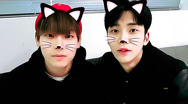 댗청 짤털,, | 인스티즈