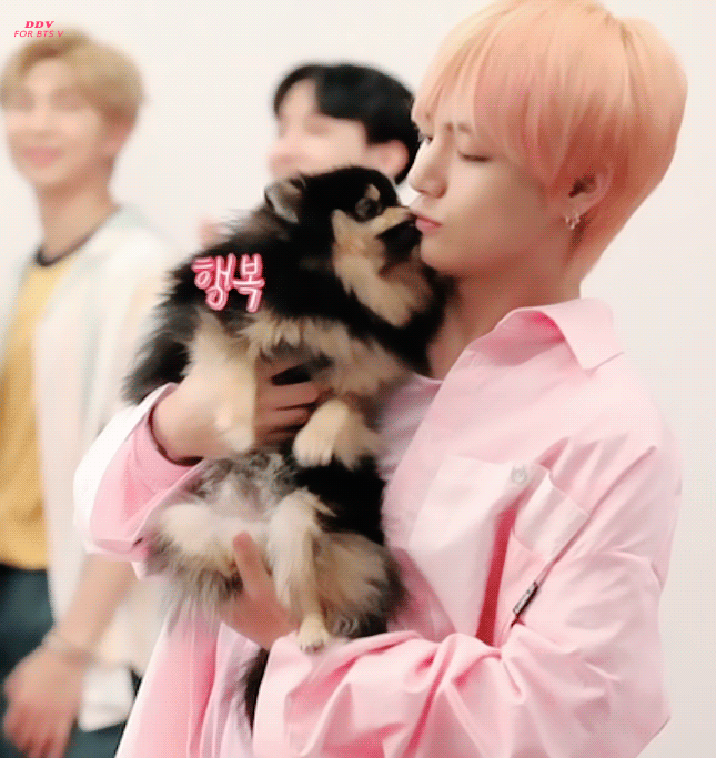 주인 닮아 잘생긴 연탄이 보고가세요💜 | 인스티즈