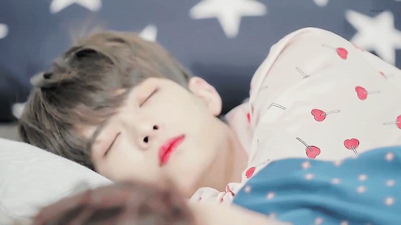 난 원래 양심같은거 없는 사람이니 정수빈 들튀 해야지 | 인스티즈