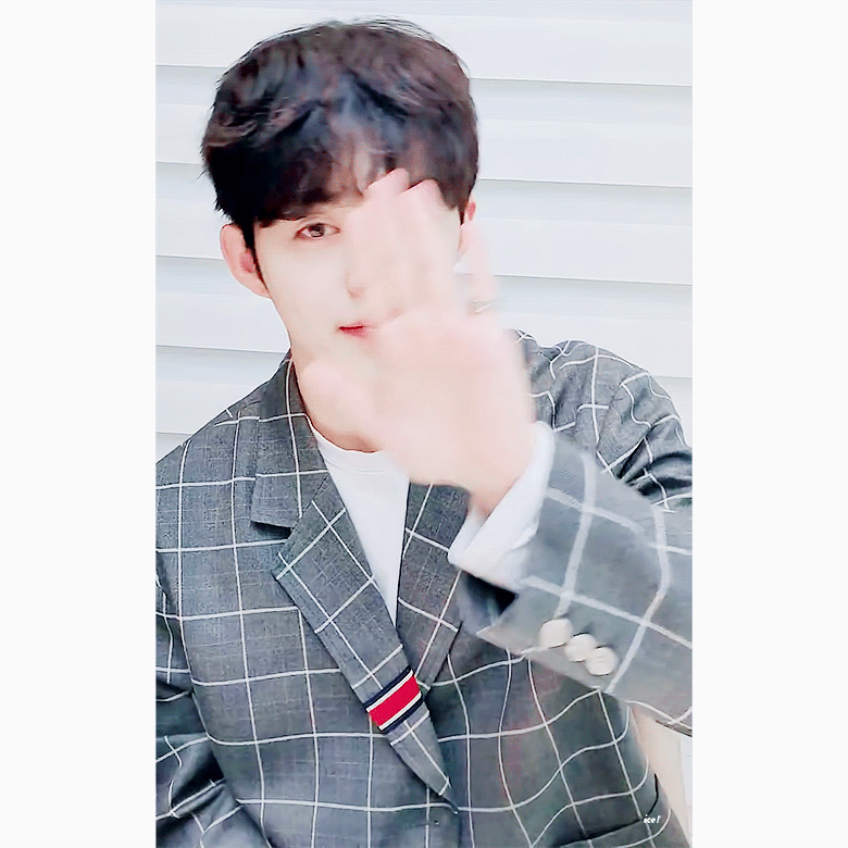 세븐틴팬들 올해 (아마도) 가장 눈물 쏟은 날 | 인스티즈