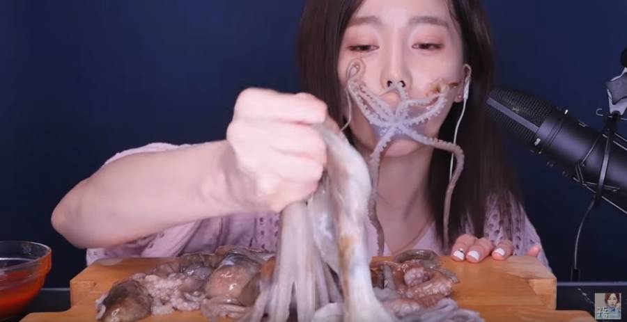 먹방 ASMR 끝판왕.jpg | 인스티즈