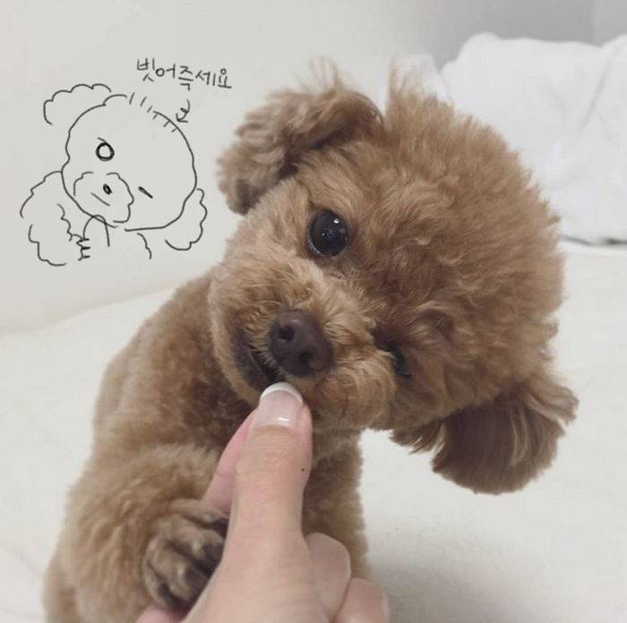 👬 절친 노트 공지입니다❗ | 인스티즈