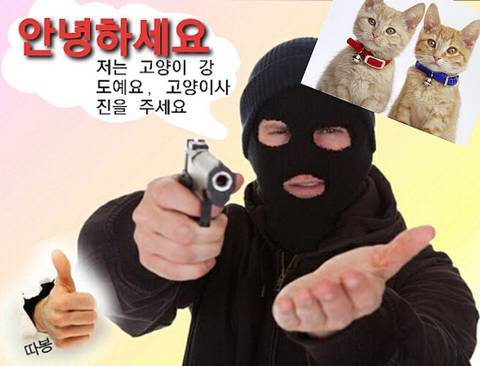 고양이 키우는 익들아 들어와바 | 인스티즈