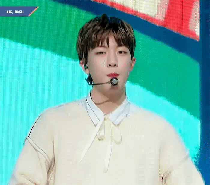 귀에 연골없어서 귀접히는거 너무 귀엽다 | 인스티즈