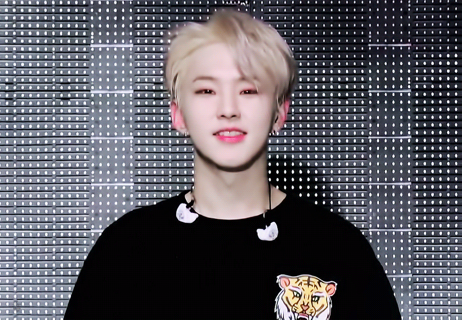 [잡담] 🐯호랑해🐯 뜻 | 인스티즈