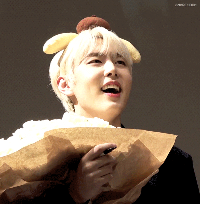 아기토끼 아기고양이 아기백구 | 인스티즈