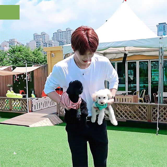 골차들아 조이 사진 찾다가 재이 사진 귀여운 거 발견했어ㅠㅠ | 인스티즈