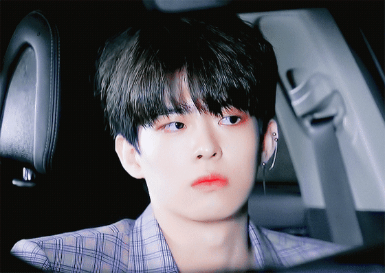 [12F/30R] 먼 옛날 1번 골랐던 호텔인들 오세요 (추가) | 인스티즈