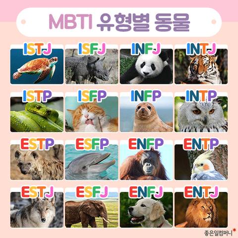 MBTI 유형별 동물.jpg | 인스티즈