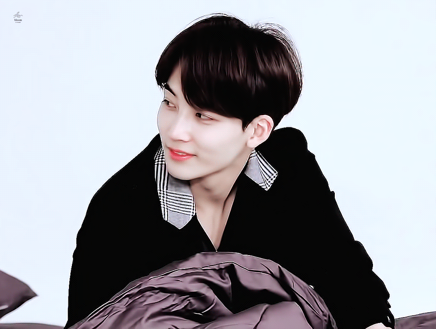 세븐틴 얘네 둘이 울면서 못 하겠다고 했을 때 붙잡은 플디가 이해가 간다 | 인스티즈