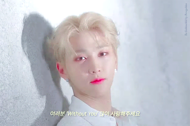 보통 여우랑 고양이랑 같이 모에화 되는 거 같음ㅋㅋㅋㅋ | 인스티즈