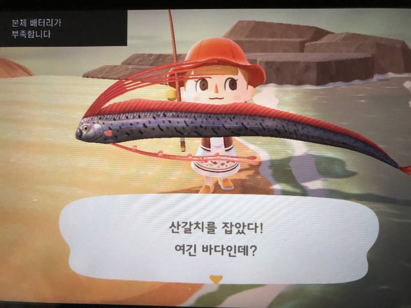 바닷가에서 낚시하다가 산갈치 나왔는데 징그러워서 소리지름ㅋㅋㅋ | 인스티즈