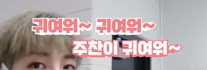 홍냥이 입쭐 | 인스티즈