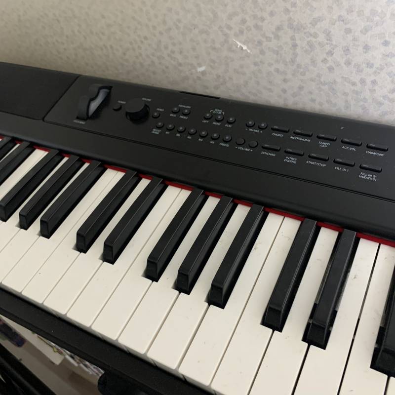 넥타 PE-88W 피아노 판매 | 인스티즈