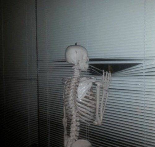 나도 시골 사는데 | 인스티즈