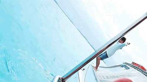 그 희귀하다는 물 좋아하는 까망고양이 | 인스티즈