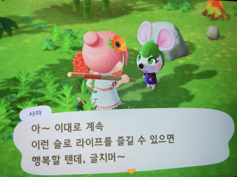 사라 너무 이쁘다.... - 인스티즈(instiz) 동물의숲 카테고리