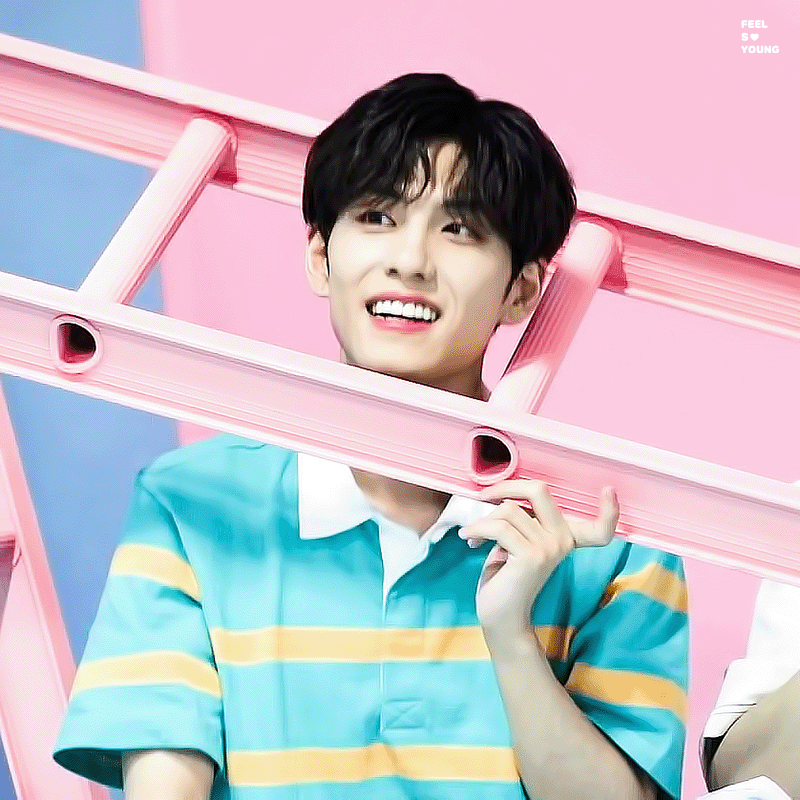 솜사탕 같이 생겼어 | 인스티즈