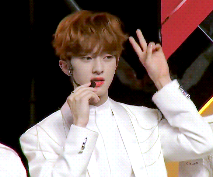 우리 비숑❤❤ | 인스티즈