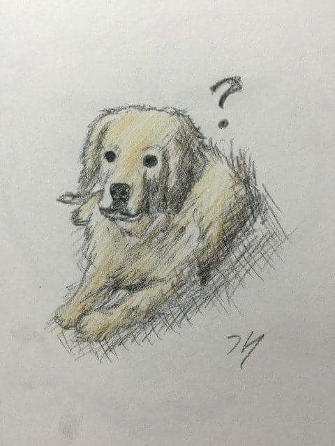 방탄 정국 그림 몇 개 모아봄,, (ft. 진짜 정체가 뭐지? 왜 다 잘하지?)🤔 | 인스티즈