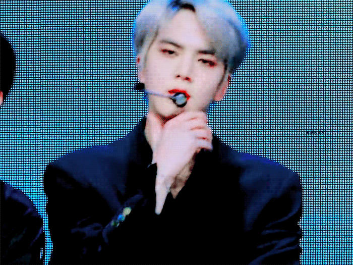 우리집 미남 말티쥬 김영훈을 소개합니다 | 인스티즈