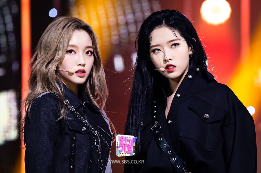 짱달소 모음 (짤 진짜진짜 많음) | 인스티즈