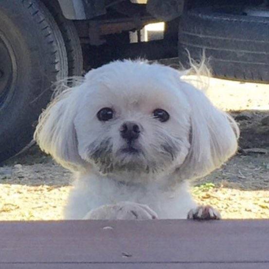 버블 우리 ㅇㅇ이 하라고 하신 분 제발 절받으세요 | 인스티즈