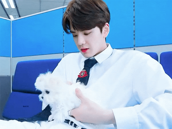 누누히 말하는 내 기준 아이돌 뽀짝 강아지 1위 | 인스티즈