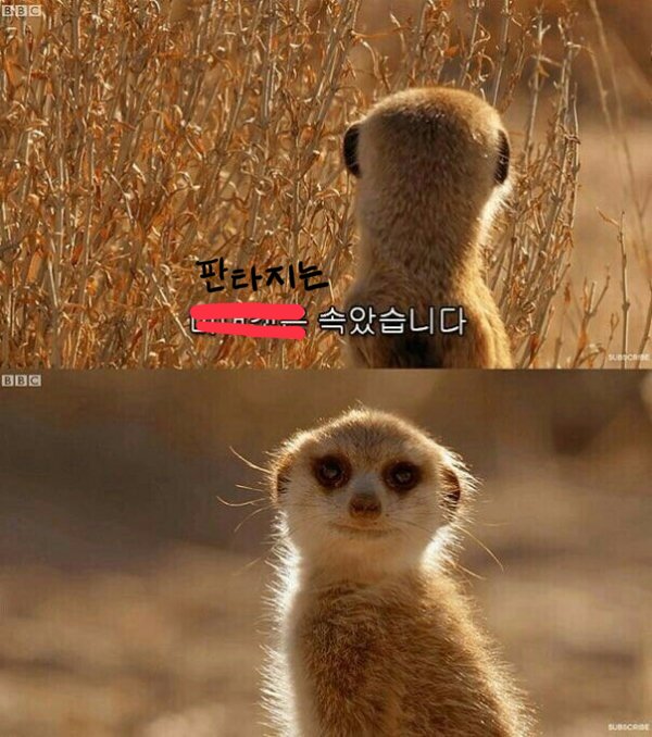 픽키픽쳐스 진짜너무한거아닙니까? 이건 정말 심하네요 저희도.. | 인스티즈