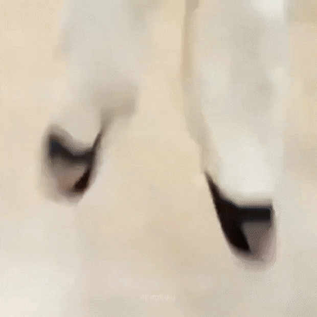 자두들앙 우리 추천글 리스트 있다😎 | 인스티즈