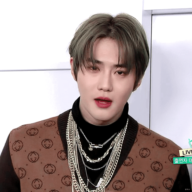 뭐든 과한게 좋은사람의 최애짤들 털이 | 인스티즈