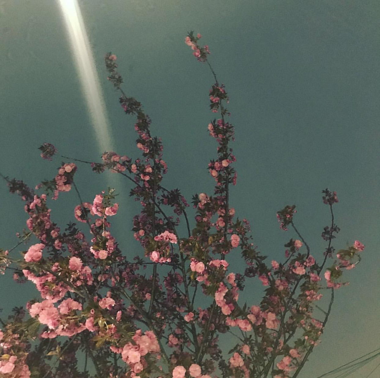 [잡담] 데이식스 원필 풍경사진 넘 예쁘게 찍지 않니ㅠㅠㅠㅠㅠ | 인스티즈