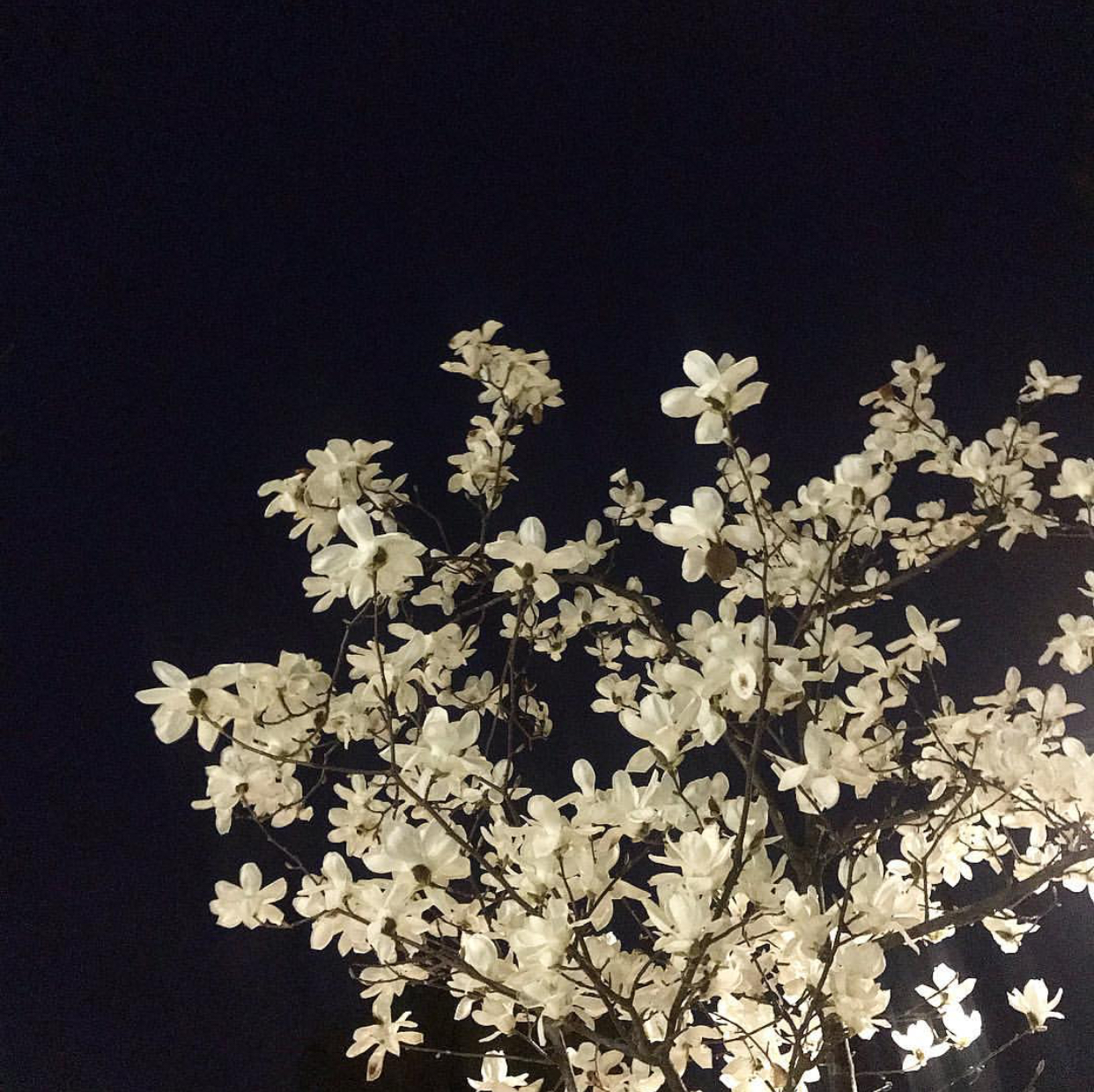 [잡담] 데이식스 원필 풍경사진 넘 예쁘게 찍지 않니ㅠㅠㅠㅠㅠ | 인스티즈