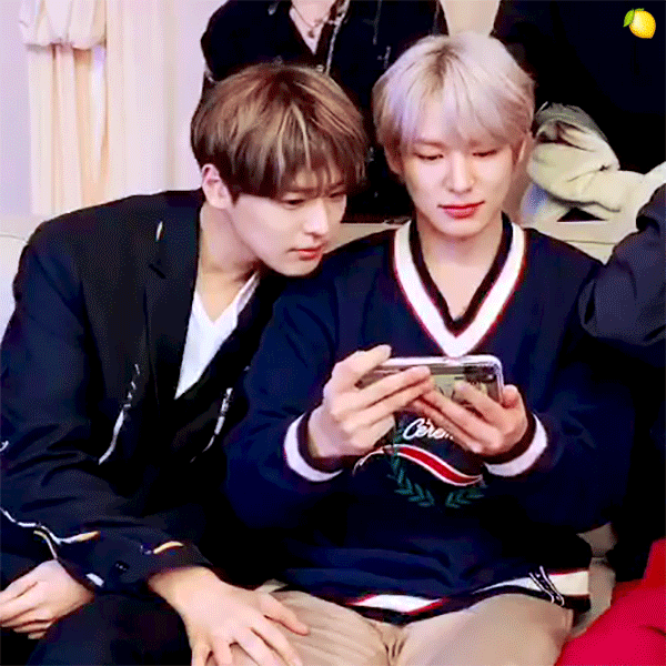 마이찬 - 인스티즈(instiz) 익명예잡 마이찬