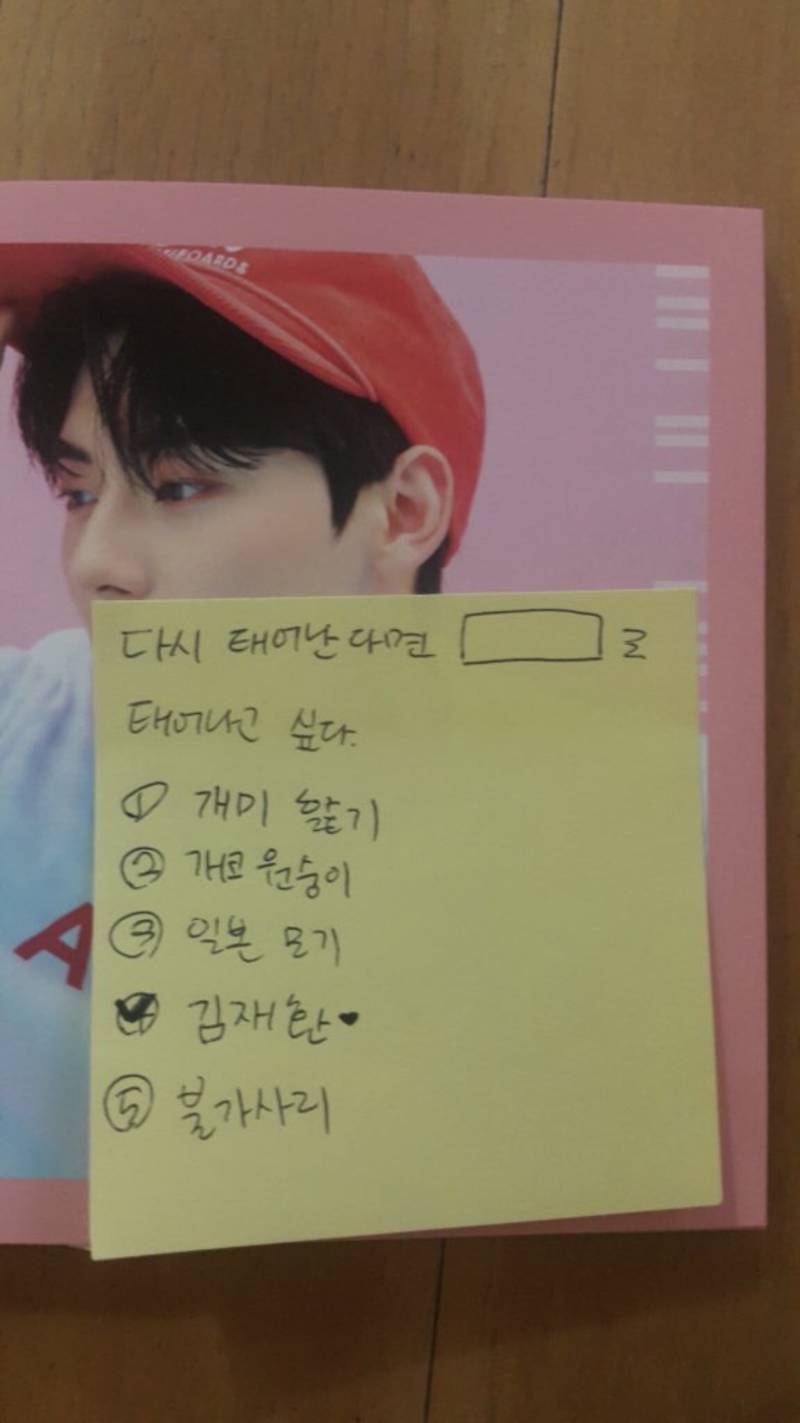 난 다시 태어난다면 불가사리로 태어나고 싶다 | 인스티즈