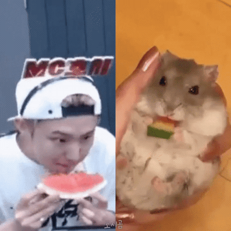 세븐틴 호시 작고 하찮음 모먼트를 넘 사랑해..... | 인스티즈