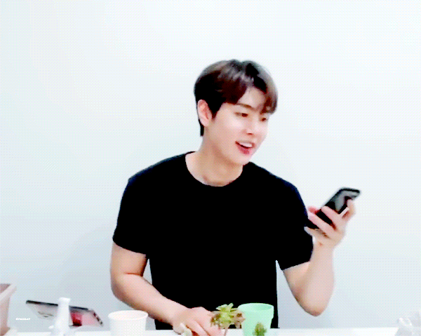 기네스 선정된 아이돌 (나피셜) | 인스티즈