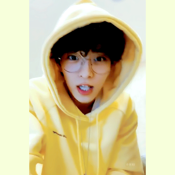 수비니는 고앵이 아가고앵이 아깽이 | 인스티즈